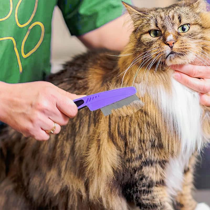 Pethod Flea Comb for Dogs & Cats | Fine Tooth Grooming Comb