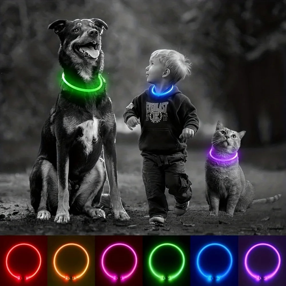 Pethod LED Dog Collar – USB Rechargeable Light-Up Safety Collar for Night Walks