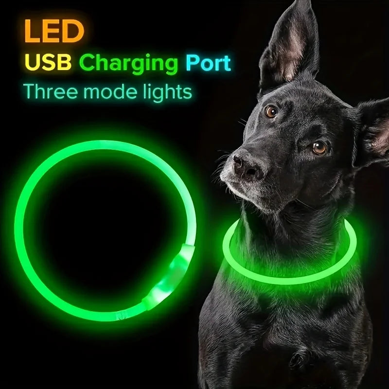 Pethod LED Dog Collar – USB Rechargeable Light-Up Safety Collar for Night Walks