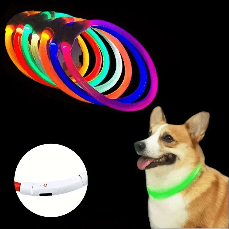 Pethod LED Dog Collar – USB Rechargeable Light-Up Safety Collar for Night Walks