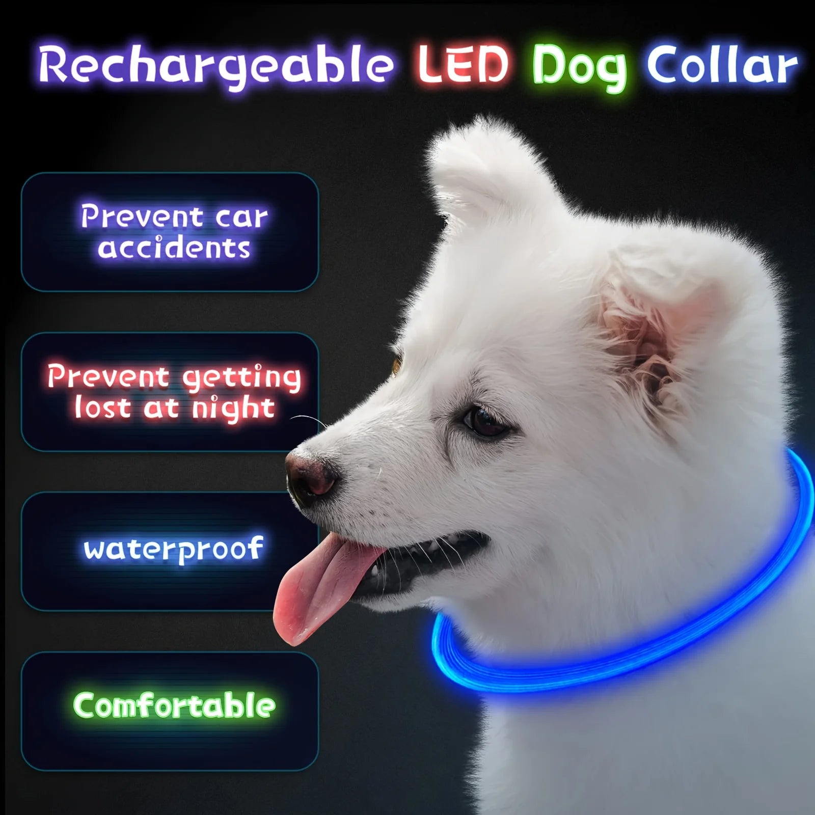 Pethod LED Dog Collar – USB Rechargeable Light-Up Safety Collar for Night Walks