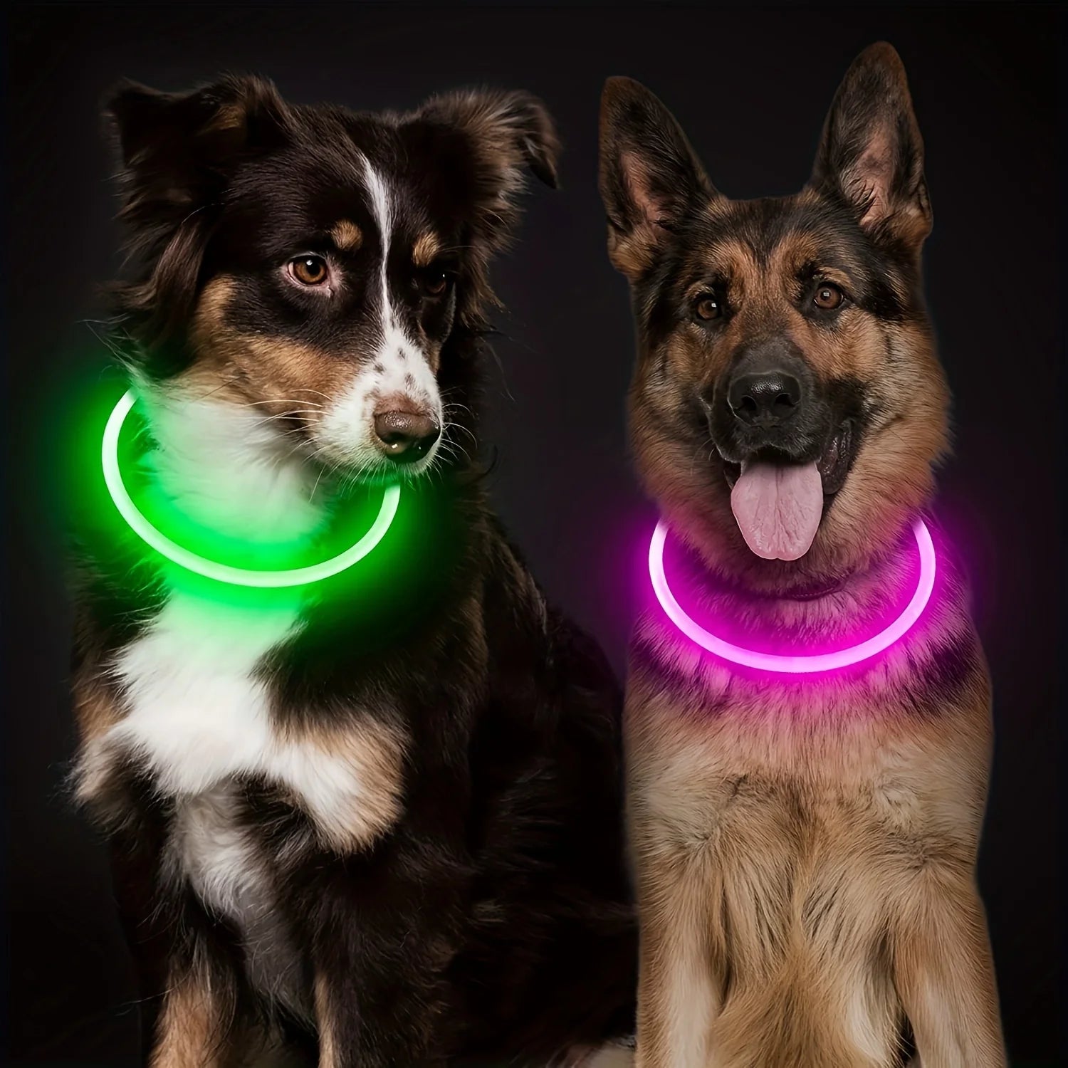Pethod LED Dog Collar – USB Rechargeable Light-Up Safety Collar for Night Walks